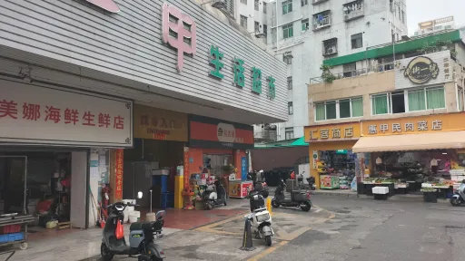 深圳南山一甲村家志实景