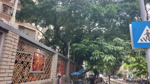 沙埔头村