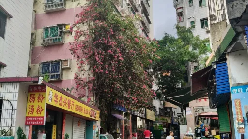 莲塘村