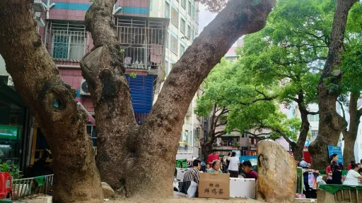 莲塘村