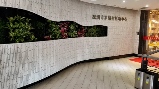 罗湖村