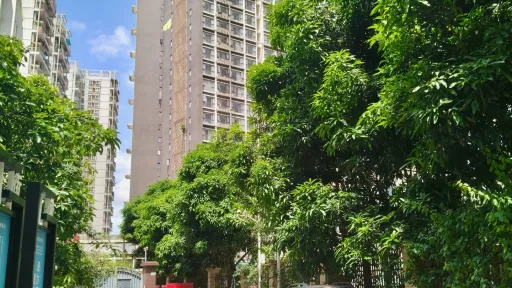 罗湖村