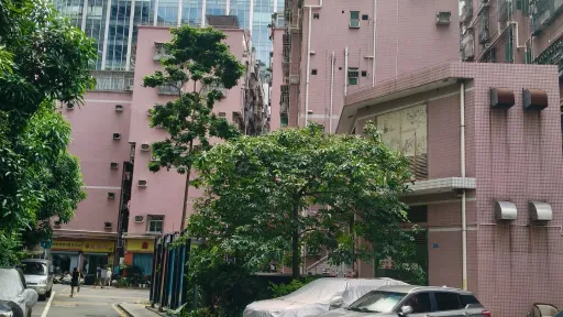 罗湖村