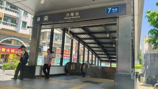 沙尾村