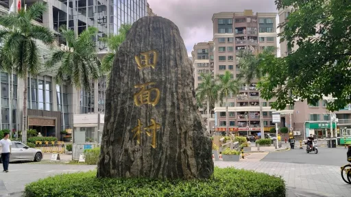 田面村