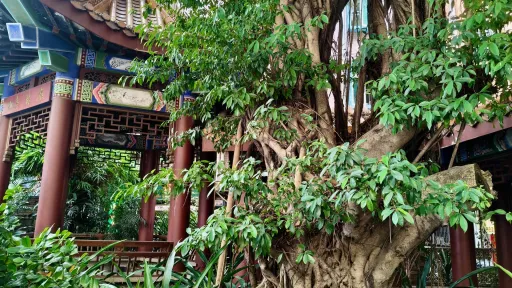 向西村