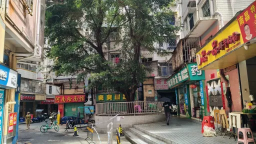 新洲村