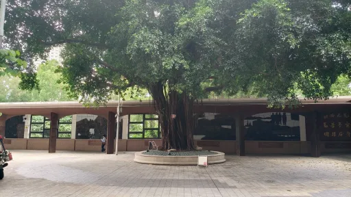 渔民村