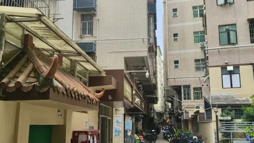 大新村