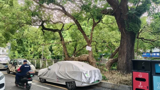 虎竹吓村