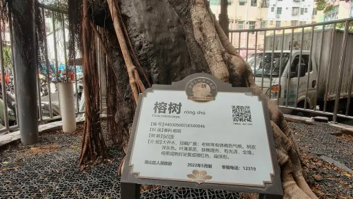 南园村