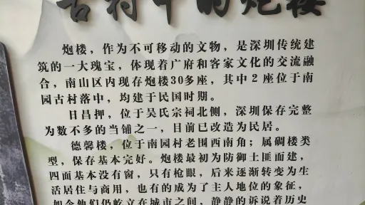 南园村