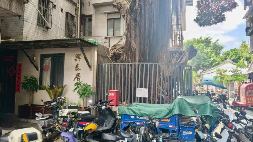 南园村