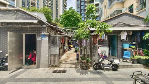 南园村