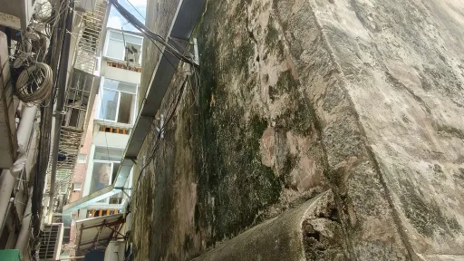 南园村