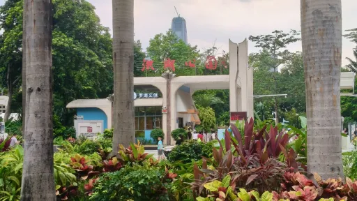 水贝村