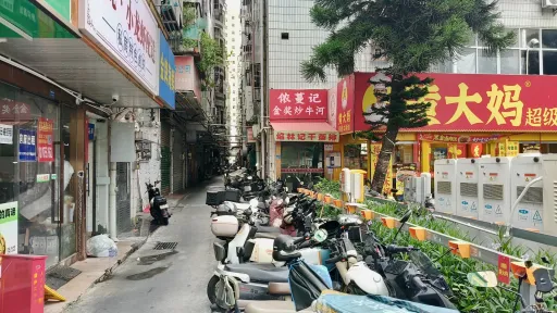 向南村