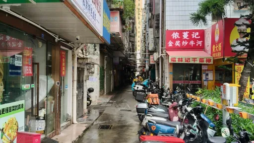 向南村