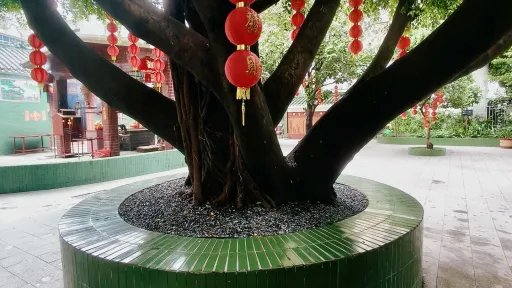  后海村