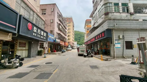 珠光村