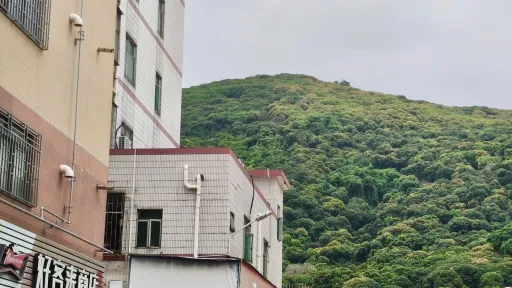 珠光村
