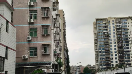 珠光村