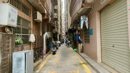 珠光村