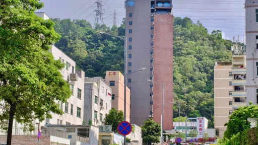 坑尾村