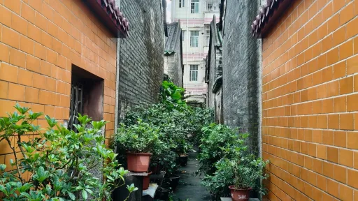 浪心村