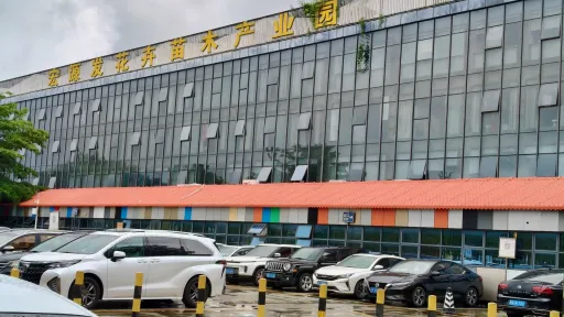 浪心村
