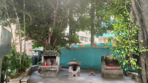 黎光村