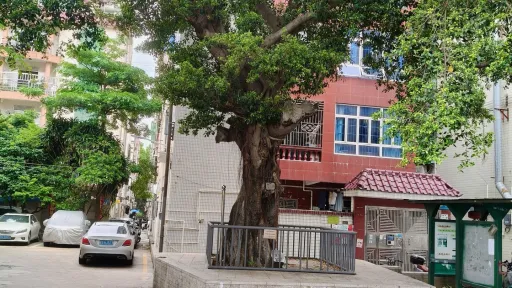 沙浦村