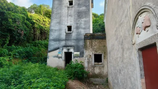 水田村