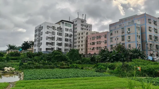 应人石村