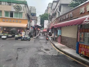 深圳南山一甲村家志实景