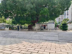 皇岗村