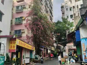 莲塘村