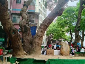 莲塘村