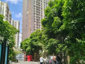 罗湖村