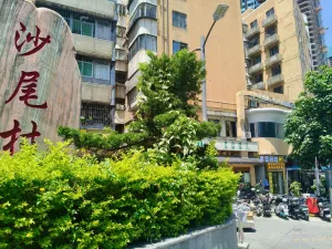 沙尾村