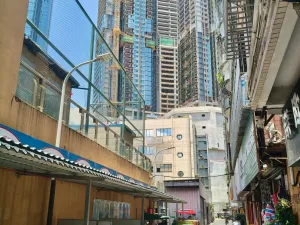 沙尾村