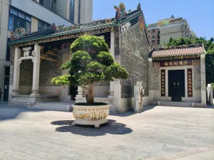 沙嘴村