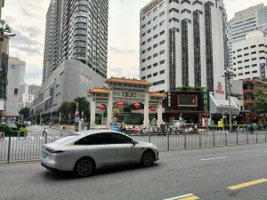 向西村