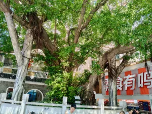新洲村