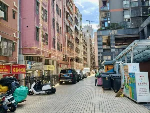 新洲村