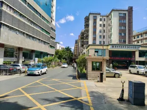 新洲村