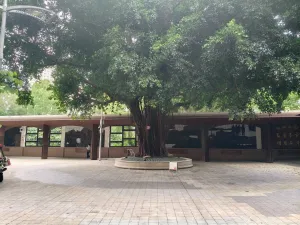 渔民村