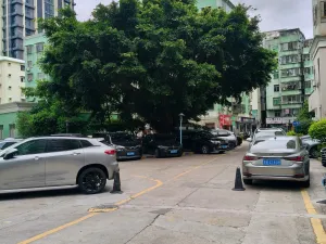 仓前村