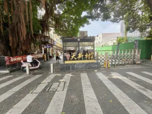 大新村