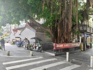 大新村